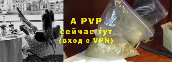 ПСИЛОЦИБИНОВЫЕ ГРИБЫ Краснотурьинск