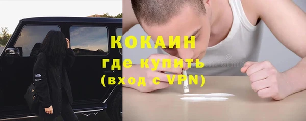 ПСИЛОЦИБИНОВЫЕ ГРИБЫ Краснотурьинск