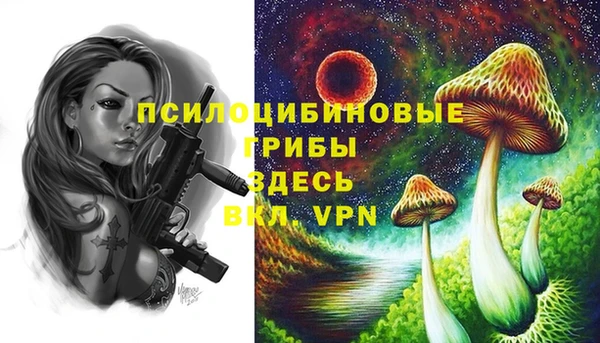 mdma Коряжма